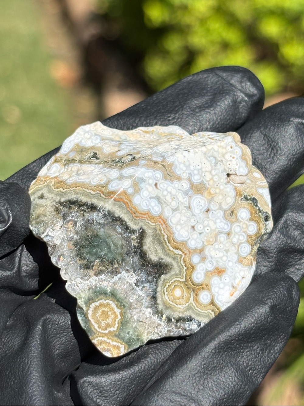 Ocean Jasper Crystal Freeform with Druzy - Polished Sea Jasper